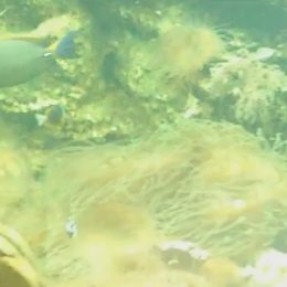 Paní Kateřina odchod do důchodu oplakala, vnímala, že končí část jejího života