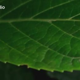 Paní Kateřina ví, že se dřív hodně šetřilo a nelíbí se jí, že je teď všechno jinak, nechce se kvůli tomu ale hádat.