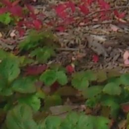 Paní Jana přeje lidem, aby si v životě užívali, dokud jsou mladí.