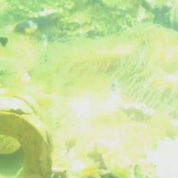 Paní Jana se moc ráda stýká s mladými lidmi.