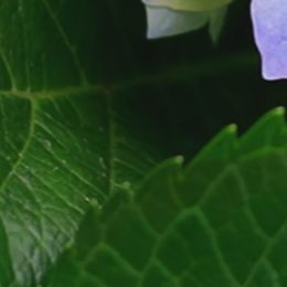 Paní Ludmila má pocit, že zapomíná a už jí to nepálí jako dřív.