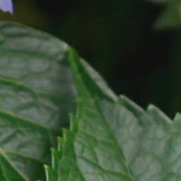 Paní Ludmila se hned po nástupu do důchodu starala o nemocného otce, po jeho smrti z ní všechno spadlo.