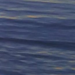 Pan Vranov sdílí své myšlenky na internetu, aby si je mohli číst jiní lidé.