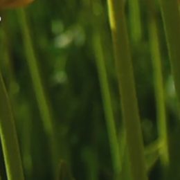 Paní Marta A. říká, že ve stáří zažívá více smutku, než dřív, léčí jej jedině čas a aktivita.