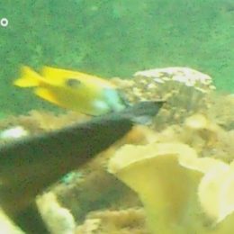 asta52_pani_marta_a._rika__ze_zaznamenala__ze_drive_byla_vykonnejsi._1_