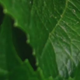 Paní Marta A. si již zvykla, že je víc sama, než dřív.