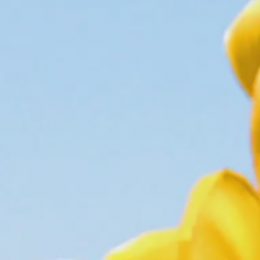 Paní Marta A. je nejvíce v kontaktu s bratrem, protože žije daleko, pravidelně si telefonují.