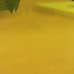 Pan Radek si pro jistotu nechal vyšetřit chrup u dalšího nezávislého odborníka, aby měl jistotu, že jeho zubařem navrhovaný a zároveň finančně náročný postup je správný.