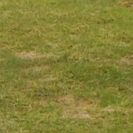 Pan Radek se díky svým zdravotním problémům rozhodl přestat kouřit.