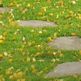 Poprvé si pan Radek uvědomil, že stárne, když se u něj objevily vážnější zdravotní problémy.