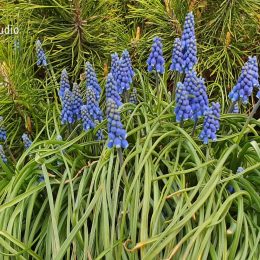 <strong>Žofka v první chvíli strach neměla, nejhorší pro ni bylo to, že nevěděla, co ji čeká.<strong> <br>Bylo to jako z nějakého filmu. Když to řekl, tak mně vůbec nedošlo, že to je špatné. Ještě jsem se tomu zasmála. Ale pak, když jsem se na něj pořádně podívala, tak mi došlo, že to je fakt špatné. A řekl mi to prostě tak, jak to je. V tu chvilku mi to samozřejmě strašně šrotovalo v hlavě. Ale neřekl mi to ani špatně, řekl mi to prostě tak, jak to je. A myslím, že to tak bylo dobře. A co vám všechno šrotovalo v hlavě? Že se to celé tak nějak pokazilo. A hlavně mi šrotovalo, že to není možné. To přece není pravda. To se někde spletli. Měla jste strach? Strach? Strach mám doteďka. Strach mám pořád. V první chvilce jsem strach asi neměla. Ty první dny ne. Ty první dny jsem to přijala, docela bych řekla, vlažně. Myslím, že jsem vůbec nepanikařila. Pořád jsem si říkala: „Proč? Když máme miminko? Proč já bych měla teď jít na nějakou náročnou léčbu.“ Hlavně mi pořád šrotovalo, jak to bude probíhat, jaká ta léčba bude. Vůbec jsem si to nedokázala představit, protože jsem se s tím předtím u nikoho známého vůbec nesetkala, anebo v rodině, takže jsem neměla představu, jak to je. A spíš jsem měla tak nějak zmobilizované síly a říkala jsem si: „To dáme. To dáme. To prostě zvládneme. To bude dobré.“ Teprve potom, postupem času, když člověk nad tím vším přemýšlí, tak se dostává do horšího a horšího marastu. Ale ten začátek, ten byl jako docela dobrý. A i tím, že léčba nastoupila tak rychle, tak jsem věděla, o co jde, co mě čeká. Těch prvních 14 dní jsme právě pořád s manželem řešili, jak to budeme dělat, jak to bude, jako si bude brát dovolenou nebo co vůbec bude. To bylo nejhorší, že jsme nevěděli, co nás čeká. A já jsem se na to nikoho ani nezeptala, protože jsem v té ordinaci vždycky byla taková úplně konsternovaná, že jsem se na to ani nezeptala. Mě to ani nenapadlo se na to ptát, ani jsem se na to možná ptát nechtěla. Nevím, prostě nevěděla jsem to. Takže tohle byl ten začátek.