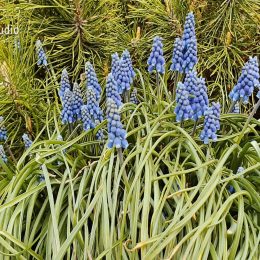 08_02_09zofcehledaniinformaci