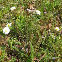 <strong>Jitka vnímá, že se její intimní život změnil. <strong> <br> Ovlivnilo onemocnění Váš intimní život? Určitě zpočátku samozřejmě víc, ale jako prostě i teď mám takový ten pocit, že to tělo je jiné. Že ten sex-appeal tam není takový. Nějaký hendikep tam je. Jde spíš o to, jak vypadáte, než že by tam třeba nebyla chuť? Myslíte teda, když se budeme bavit na rovinu, jestli ta operace, nebo jako chuť na sex? Nebo. Chuť na sex. Je to asi o tom, že ta chuť tam samozřejmě není, už tou operací, ta chuť nebyla. Protože si myslím, že my ženy to máme spíš dané, kdy to vychází z hlavy, takže když byly starosti, stres, tak prostě to šlo na druhou kolej. Neměla jsem na to chuť. A po té operaci mi to nechybí. Samozřejmě, když k tomu sexu dojde, tak jsem ráda, že to funguje tak, jak má. Že všechno je v pořádku. Ale klidně bych mohla žít bez sexu.