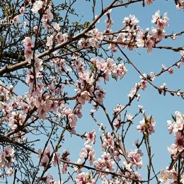 <strong>Hana C. si přijde po nemoci klidnější.   <strong> <br> Člověk možná je takový nějaký klidnější trošku. Nevím, jak to říct. Tak já jsem nikdy nějak extra nevyžadovala, že to chci všechno teď hned a tak. Ale takový, spíš si říkám, ten klid, že ukáže až čas. Když tohle lidi řeknou, tak si myslí, že jim budu vykládat, co a jak. Ale já jim nemám co říct. Prostě ukáže čas, jak to bude, co bude dál. Trošku to bere člověk jinak teďka.