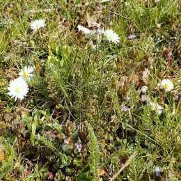 <strong>Jitka musela ve svém životě ubrat, také se jí změnily životní priority a zvažuje, co je pro ni důležité. <strong> <br> Určitě se změnil, změnil se v tom, že jednak člověk musel ubrat z toho svého tempa, které prostě měl nějak nastavené. Protože já jsem člověk, který má rád pohyb, mám ráda sport a prostě neposedím, trošku workoholik a takový občas pedant na některé věci. Takže v něčem člověk musel ubrat. A asi je to i trošku dané tím, že najednou člověk, jak dostane strach o ten svůj život, tak trošku změní i pohled na některé věci. Že si uvědomíte, že třeba někdy člověk řešil věci, které nejsou pro život důležité. Změní se priority. Jak se změnily ty priority? Jak se změnily ty priority? Tak to je taková otázka, teď momentálně. Přemýšlím, v čem bych řekla, že se změnily priority. Prostě že třeba neřeším, jestli dcera přinese trojku z češtiny. Hlavně že je zdravá. Že neřeším, jestli mám umytá okna. Radši půjdu ven, je krásně, je krásný den, tak si ho prostě užiju. Asi tak. Prostě snažit se odbourat některé stresy, které nemusím řešit. Třeba pro spoustu lidí jsem někdy byla i vrba, člověk poslouchal problémy ostatních a chtěla pomoct. A už někdy říkám: „Už ne.“ Někdy už musím trošku tu hranici někde taky mít. Tak asi tak. Kdy jste to asi začala měnit? Kdy jsem to začala měnit? Začala jsem to měnit v době po operaci, bych řekla. Kdy teda jsem si řekla, že jsem bojovník, že musím bojovat a že ten vlak už je teda rozjetý a že mi nic jiného nezbývá. Ale samozřejmě, že byly dny, a jsou i teď, kdy vás to tak trošku semele nebo doběhne. Že ta slza do toho oka třebas je. Ale asi tak po té operaci, no.