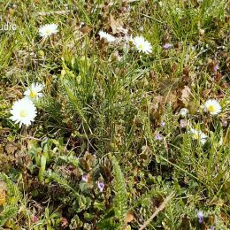 <strong>Jitka při odstranění dělohy a vaječníků měla pocit, že se vzdává ženství. <strong> <br> Jaké to bylo, tohle rozhodnutí pro operaci vaječníků a dělohy? A to poměrně v mladém věku. No, bylo to těžké. Protože někdo třebas si řekne: „Ale tak jako, vždyť to jsou reprodukční orgány, ty už zase potřebuješ.“ Protože už mimino žádné bych samozřejmě nechtěla. Ale bylo to těžké. Měla jsem pocit, že ze sebe dávám nějaké takové to ženství. To, co ta žena má mít. Ale někdy jsem byla jako dva v jednom. Prostě jsem si říkala to, co mě mrzí, a pak jsem si prostě říkala: „Ale kuš, prostě je to hloupost, nepotřebuješ to. A stejně třeba za 5 let už bys měla přechod.“ Takže jsem se tak sama se sebou prala, ale nebylo to lehké. Určitě občas ten rarášek, který vyskakoval, tak tam byl.