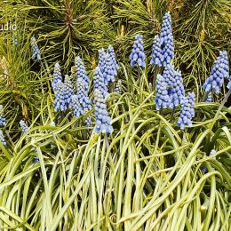 <strong>Žofka hovoří o negativních emocích.<strong> <br>To bych taky chtěla vzkázat nemocným, že ať se za to vůbec nestydí, ať ty emoce prostě projevujou, že k tady té nemoci nepatří jenom pozitivní vidění uzdravení, ale i ty negativní emoce. A že je dobré asi dát to na povrch, než je prostě dusit v sobě a dělat: „Jo, to bude všechno fajn.“ Tak to mě tak napadlo. Že přece jenom u těch zdravých tohle slýchat není úplně ono.